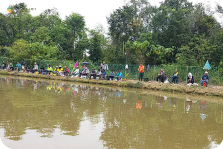 Imej Kolam Abah Sungai Kayu Sandakan Sabah