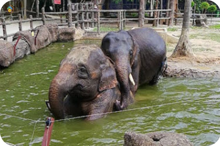 Imej Taman Rekreasi & Zoo Kemaman
