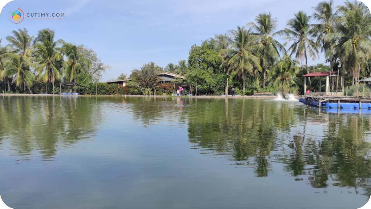 Imej Tempat Memancing di Kedah Kolam memancing Ayer Hitam (kri)