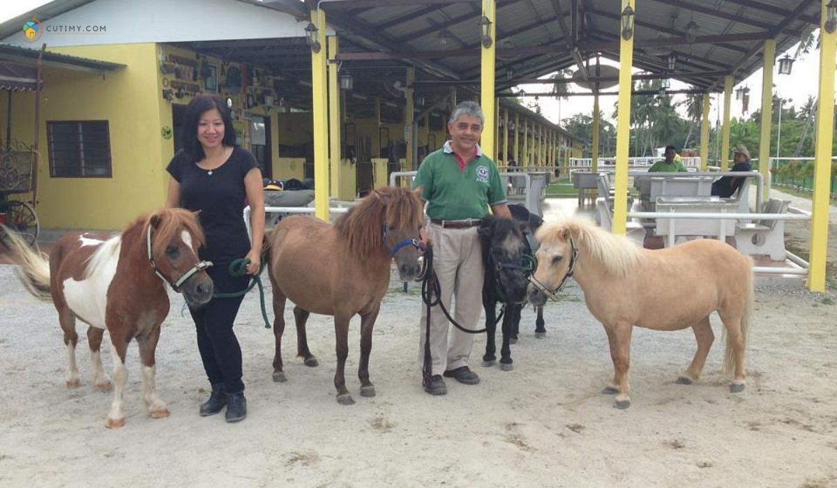imej Countryside Stables Penang