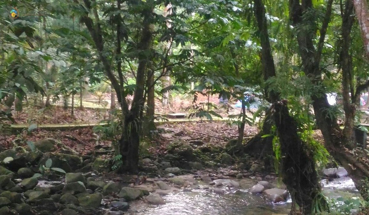 imej Sungai Congkak Recreational Forest