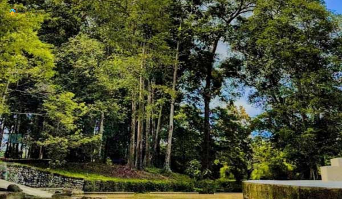 imej Taman Rekreasi Awam Sembilang (Seberang Jaya)
