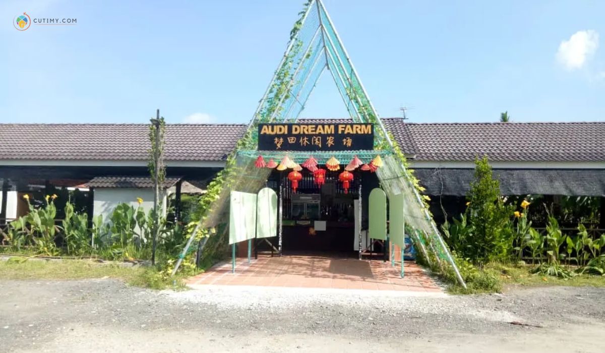 imej Tempat Menarik di Balik Pulau Audi Dream Farm