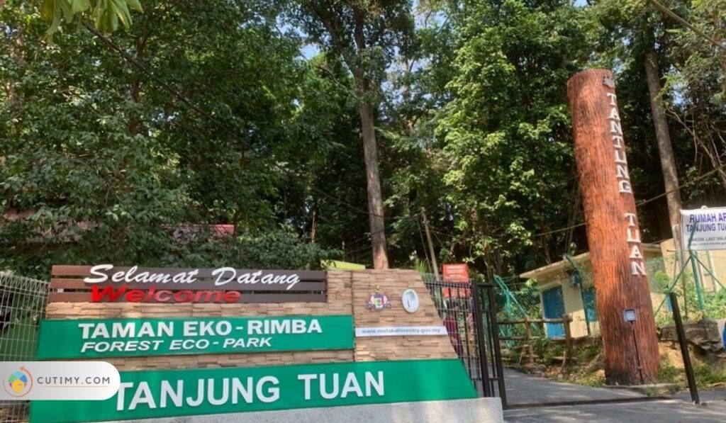 Imej Hutan Simpan Tanjung Tuan