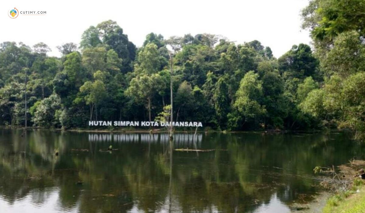 imej Hutan Simpan Kota Damansara