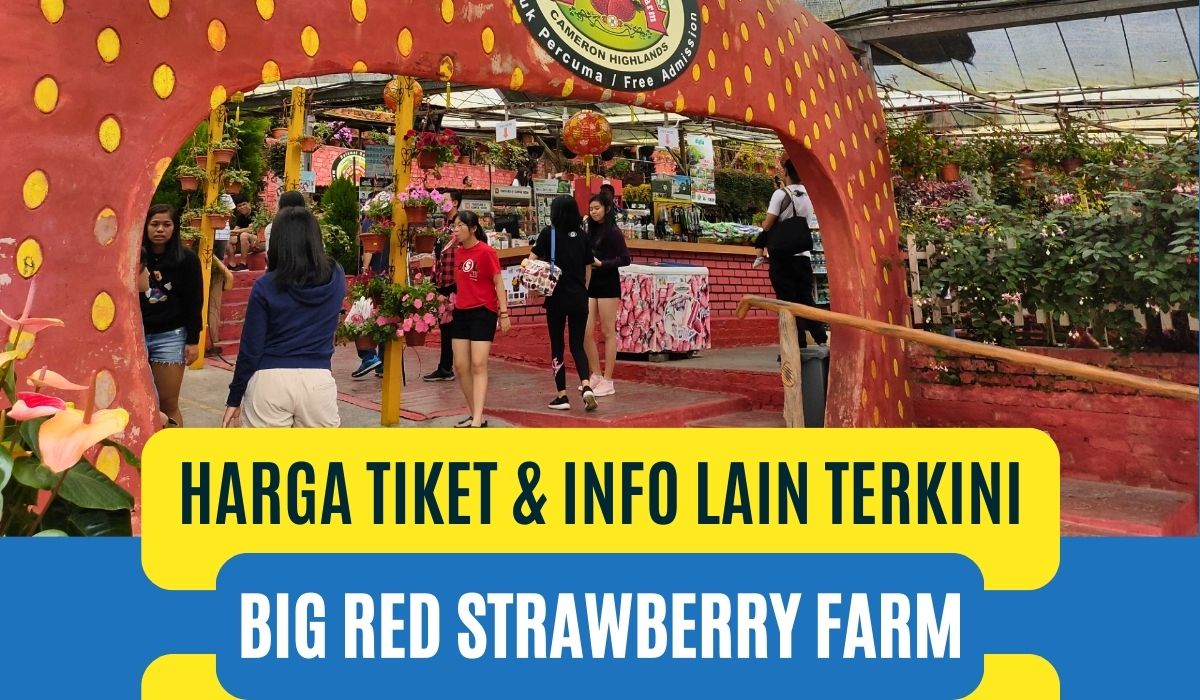 Cover Harga Tiket Big Red Strawberry Farm